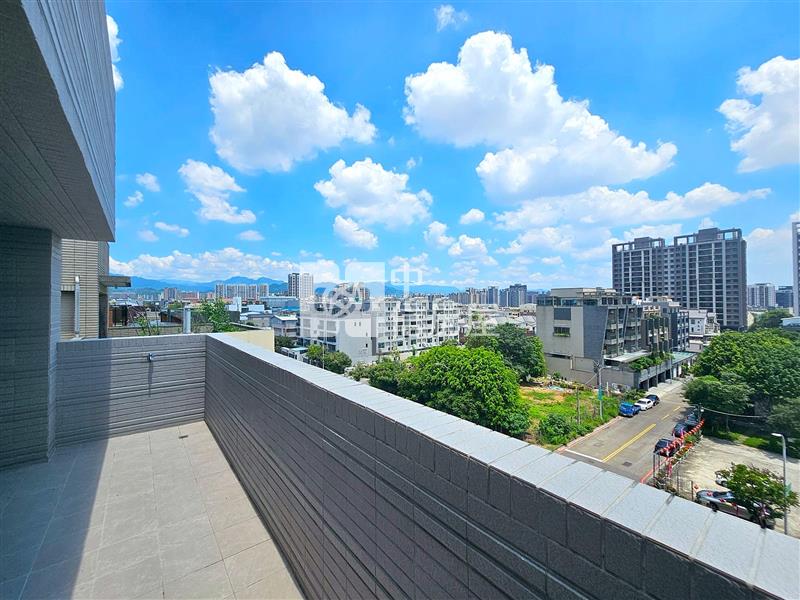 正10期25米景賢路朝南全新電梯透天別墅房屋室內格局與周邊環境