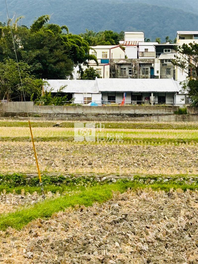 富里百坪建地稅籍平房房屋室內格局與周邊環境