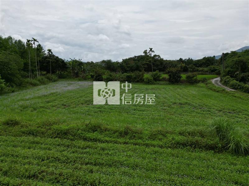 壽豐台九線溪口農地房屋室內格局與周邊環境