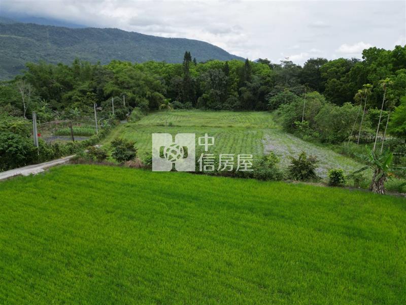 壽豐台九線溪口農地房屋室內格局與周邊環境