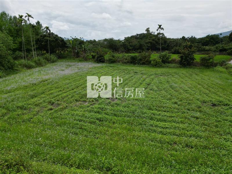 壽豐台九線溪口農地房屋室內格局與周邊環境