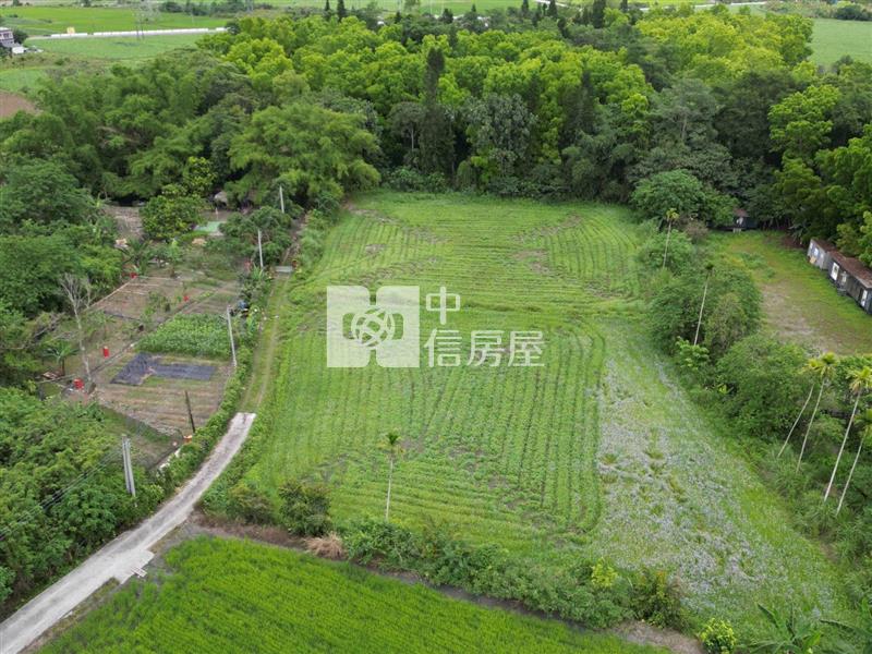 壽豐台九線溪口農地房屋室內格局與周邊環境