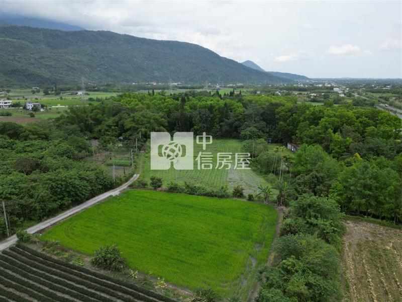 壽豐台九線溪口農地房屋室內格局與周邊環境