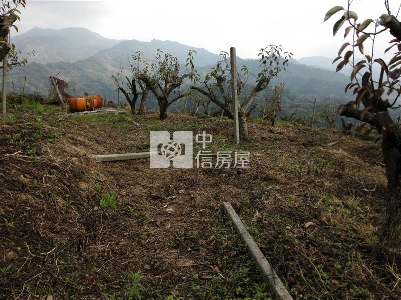 東勢伯公段農地房屋室內格局與周邊環境
