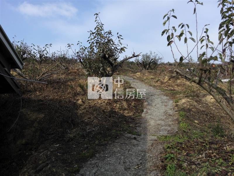 東勢伯公段農地房屋室內格局與周邊環境