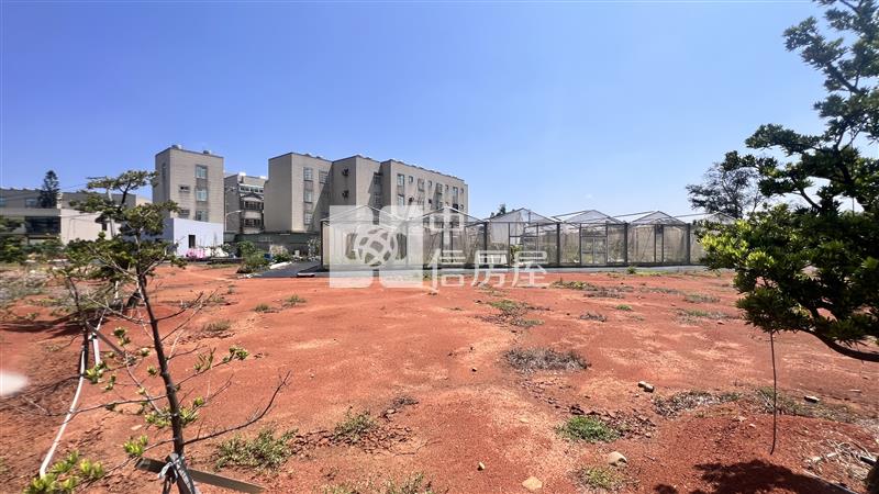 近大園市區合法農業設施房屋室內格局與周邊環境