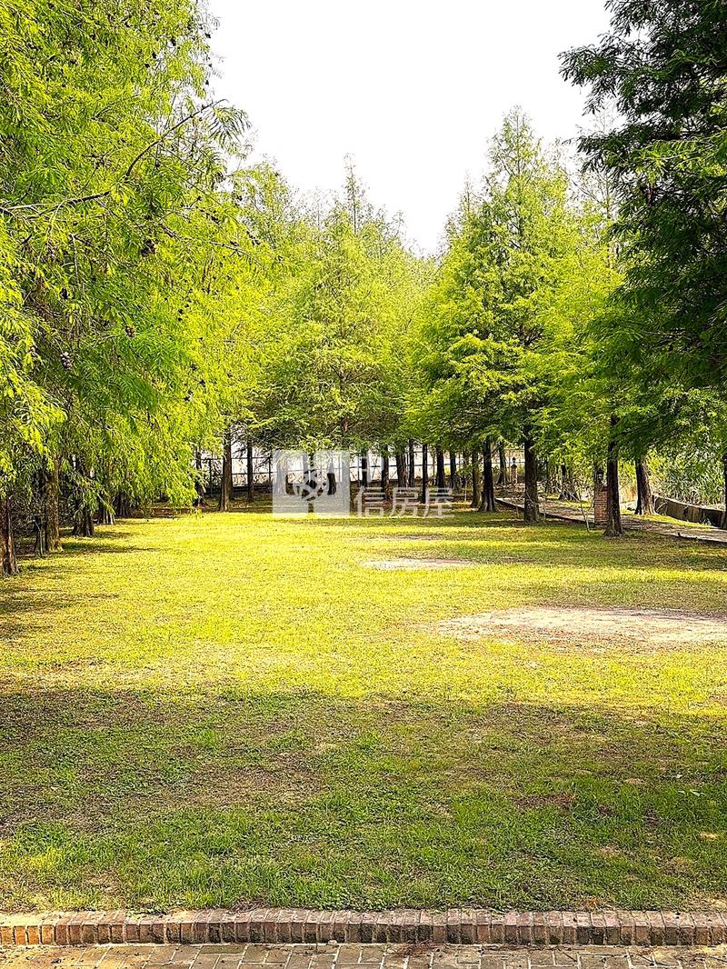 落羽松德國鄉村風休閒莊園房屋室內格局與周邊環境
