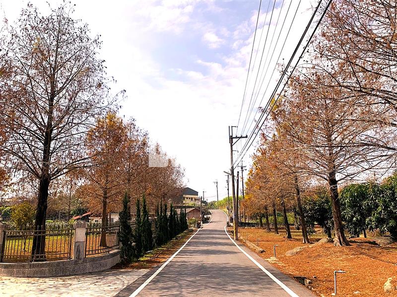 落羽松德國鄉村風休閒莊園房屋室內格局與周邊環境