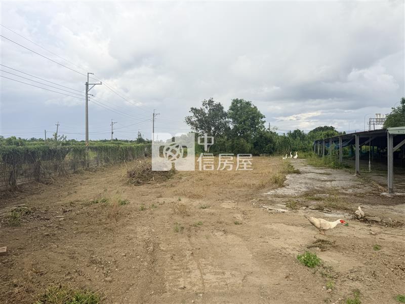 水上合法鵝寮房屋室內格局與周邊環境