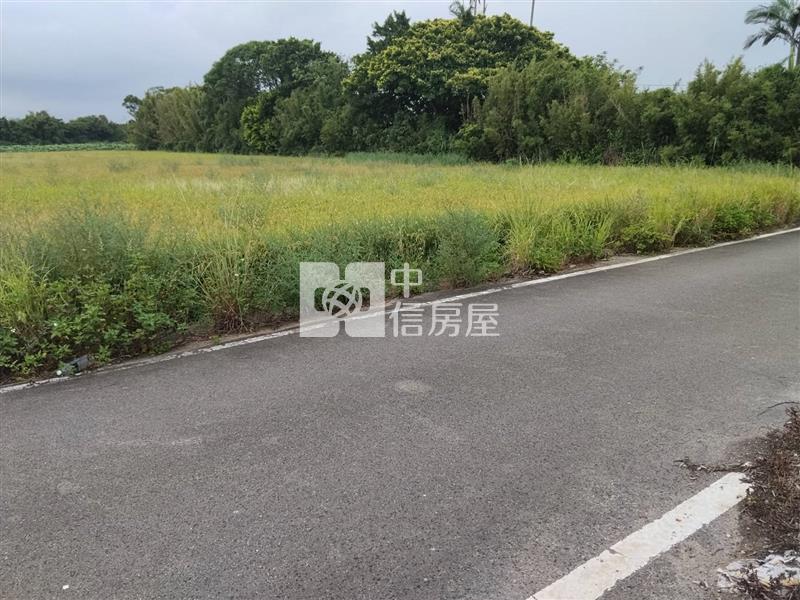 楊梅民生街美農地房屋室內格局與周邊環境