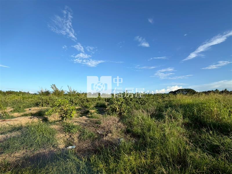 歸仁高發1.9分農地房屋室內格局與周邊環境