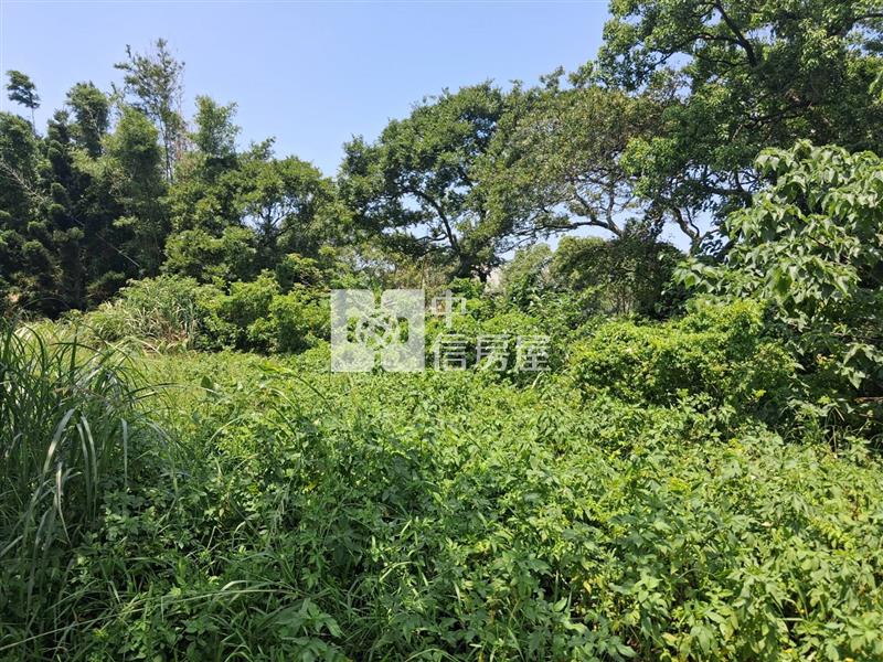 近楊梅國小 都內農房屋室內格局與周邊環境