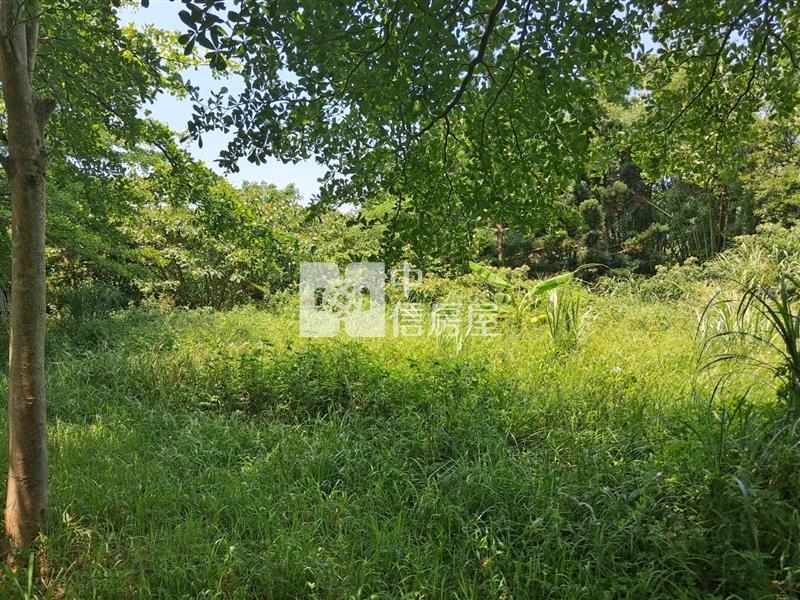 近楊梅國小 都內農房屋室內格局與周邊環境