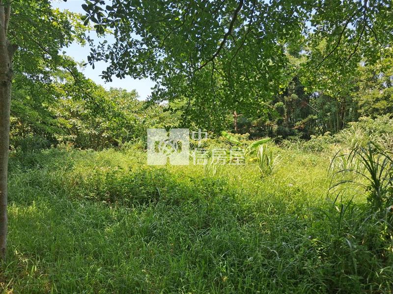 近楊梅國小 都內農房屋室內格局與周邊環境