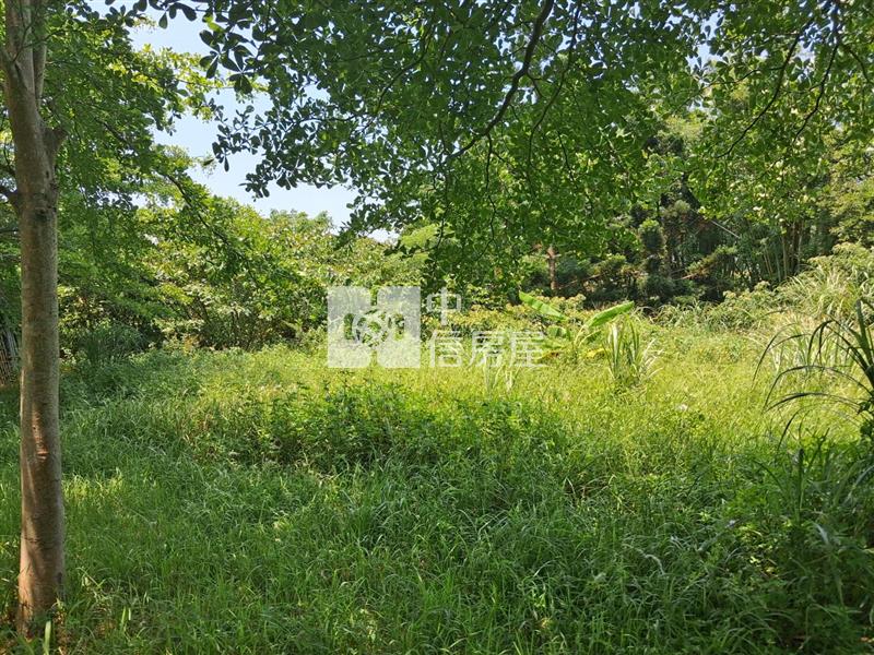 近楊梅國小 都內農房屋室內格局與周邊環境