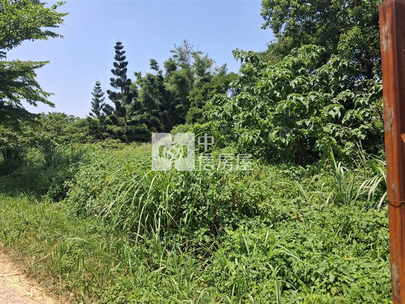 近楊梅國小 都內農房屋室內格局與周邊環境