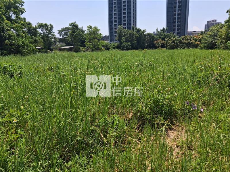 近楊梅國小 都內農房屋室內格局與周邊環境