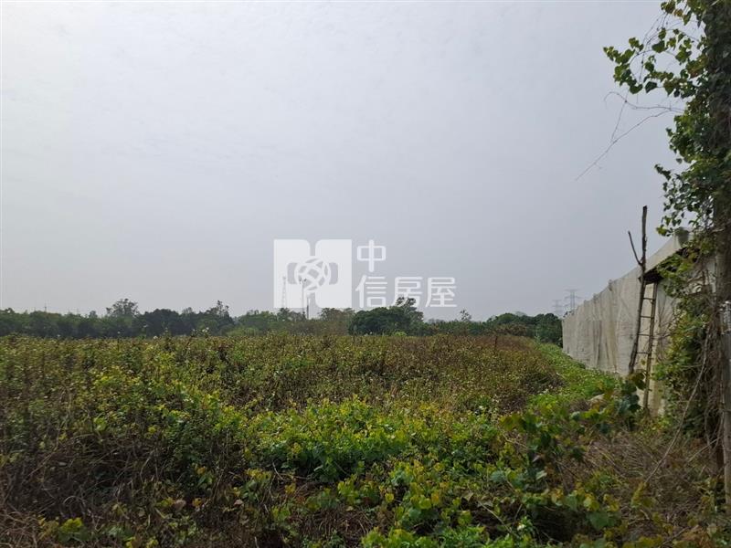 大內區頭社村內親民價732坪美農地房屋室內格局與周邊環境