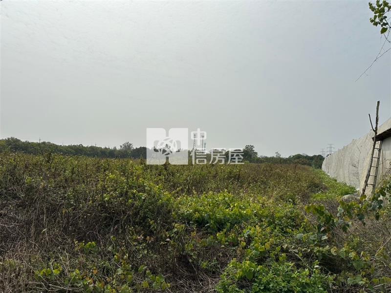 大內區頭社村內親民價732坪美農地房屋室內格局與周邊環境
