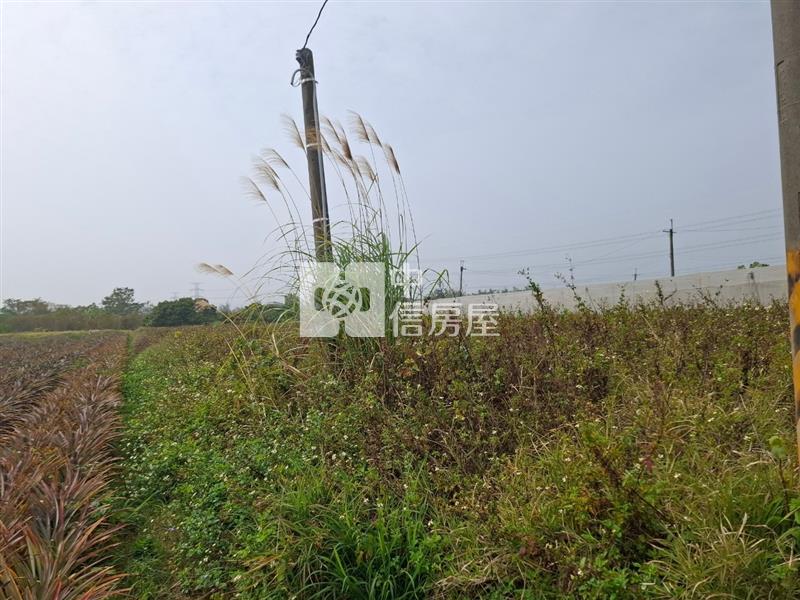 大內區頭社村內親民價732坪美農地房屋室內格局與周邊環境