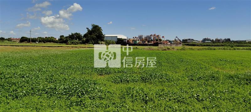 近新市產業園區社區旁低於實價一般農地房屋室內格局與周邊環境