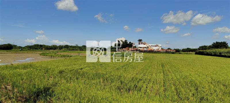 近新市產業園區社區旁低於實價一般農地房屋室內格局與周邊環境