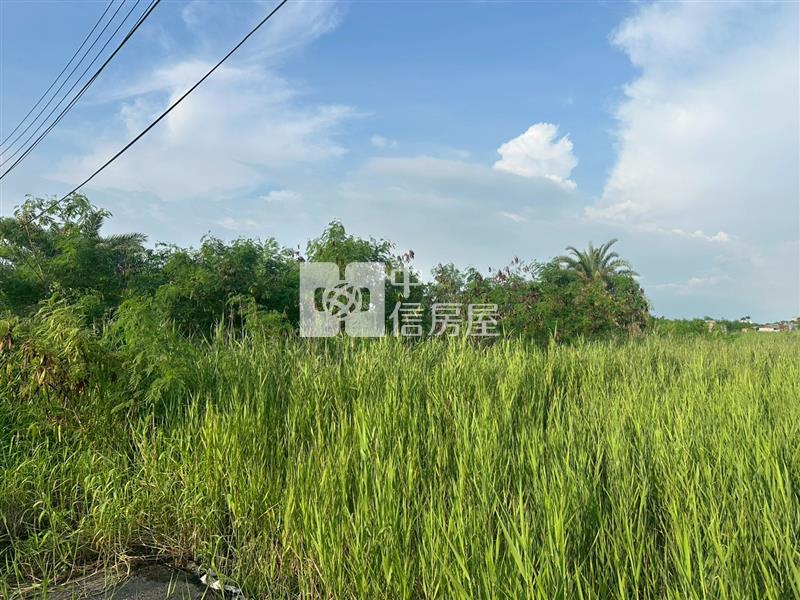 西濱乙工重劃增值地房屋室內格局與周邊環境