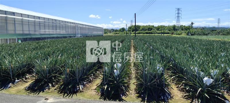 近新市產業園區超低價一般農地房屋室內格局與周邊環境