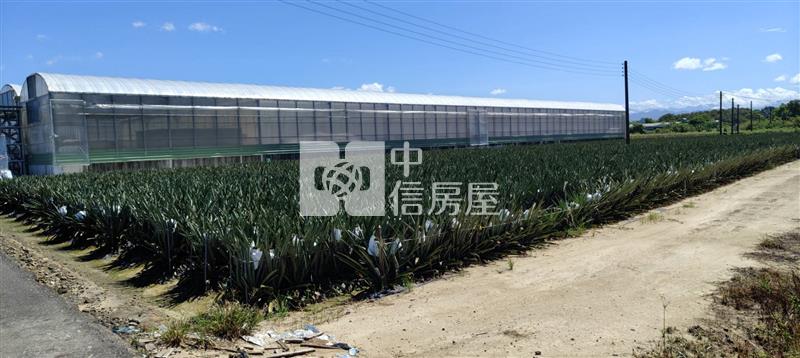 近新市產業園區超低價一般農地房屋室內格局與周邊環境