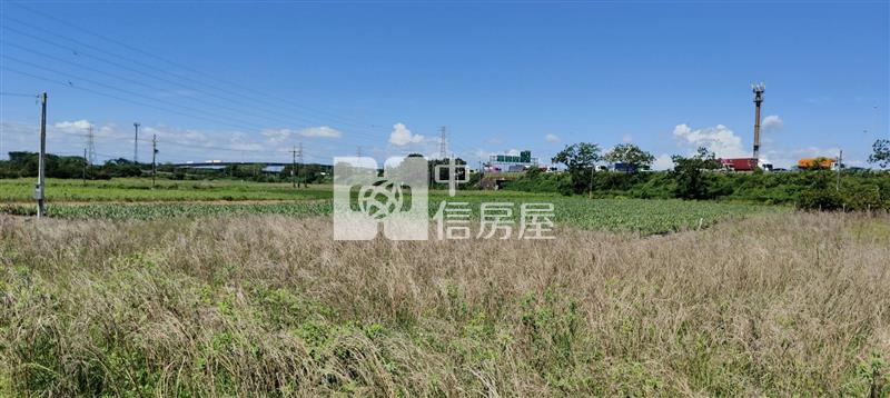近新市產業園區超低價一般農地房屋室內格局與周邊環境