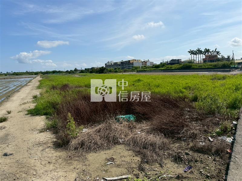 安南區聖母段都內美農地房屋室內格局與周邊環境