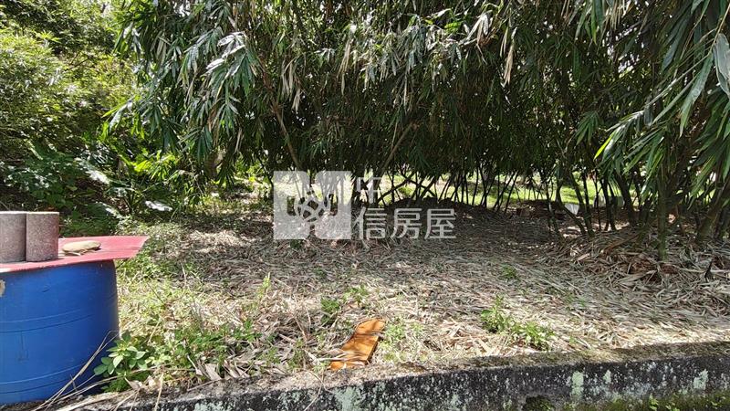 【安家】專任平鎮都內投資農地中庸段(持分)房屋室內格局與周邊環境