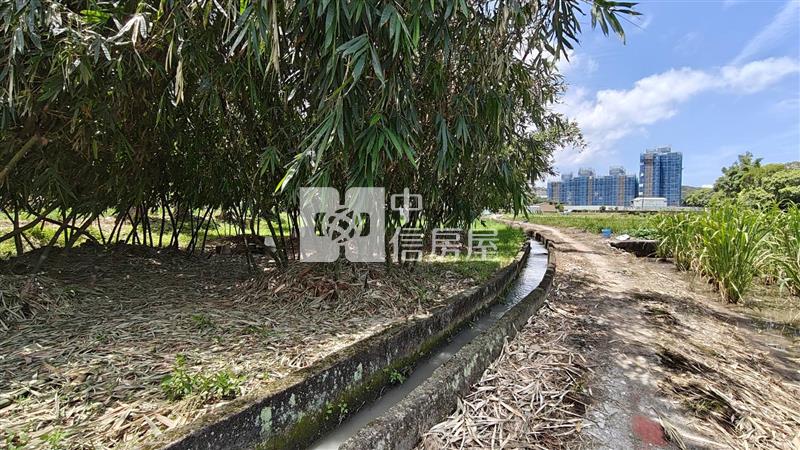 【安家】專任平鎮都內投資農地中庸段(持分)房屋室內格局與周邊環境