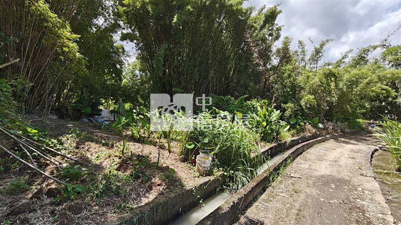 【安家】專任平鎮都內投資農地中庸段(持分)房屋室內格局與周邊環境