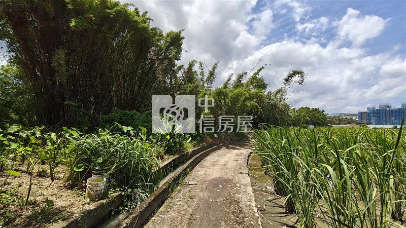 【安家】專任平鎮都內投資農地中庸段(持分)房屋室內格局與周邊環境