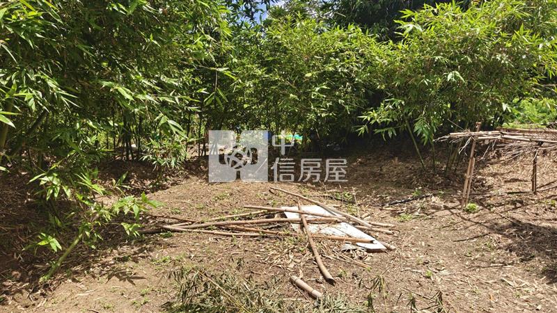 【安家】專任平鎮都內投資農地中庸段(持分)房屋室內格局與周邊環境