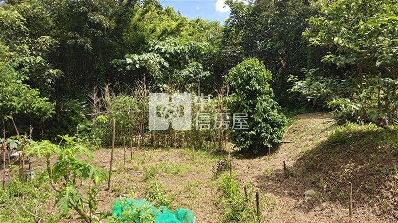 【安家】專任平鎮都內投資農地中庸段(持分)房屋室內格局與周邊環境