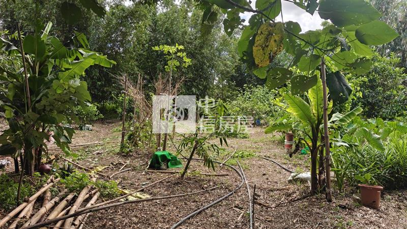 【安家】專任平鎮都內投資農地中庸段(持分)房屋室內格局與周邊環境