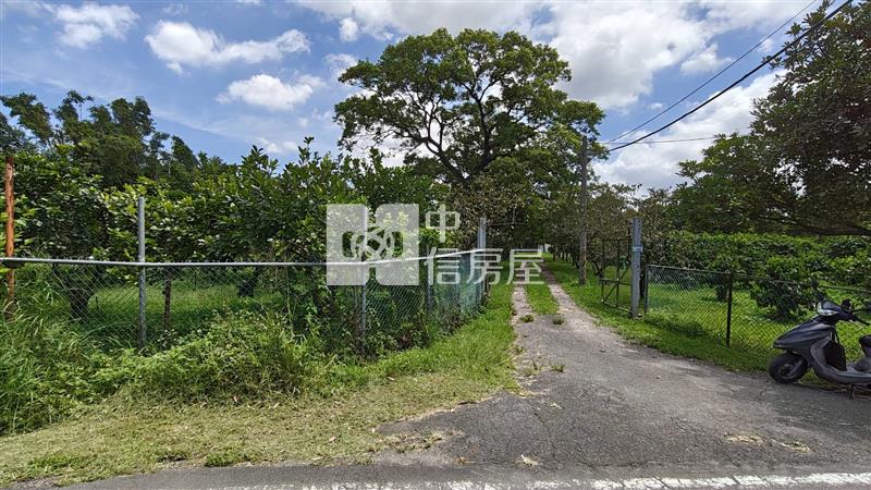 【安家】專任平鎮都內投資農地中庸段(持分)房屋室內格局與周邊環境