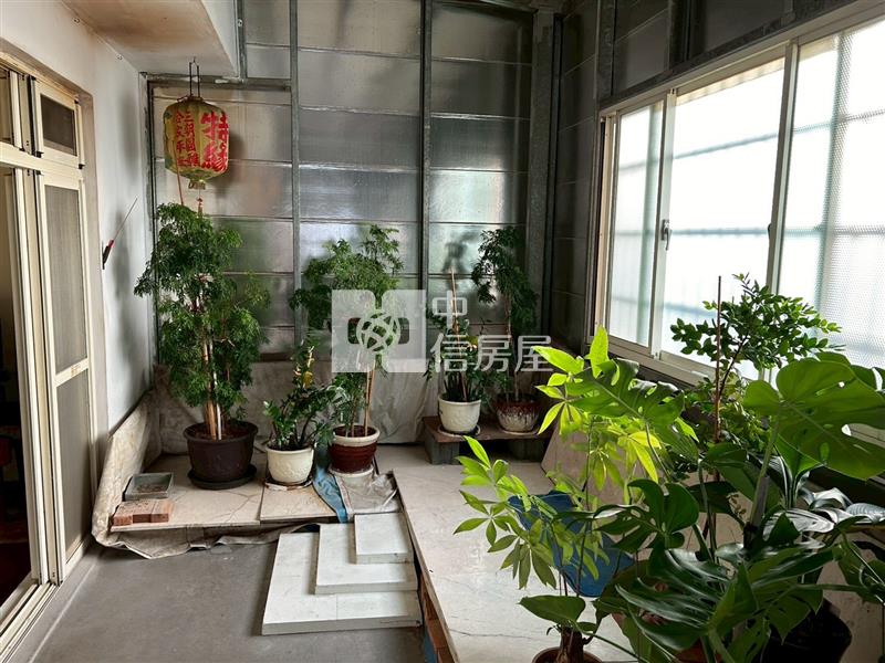 大溪三角窗電梯透店房屋室內格局與周邊環境
