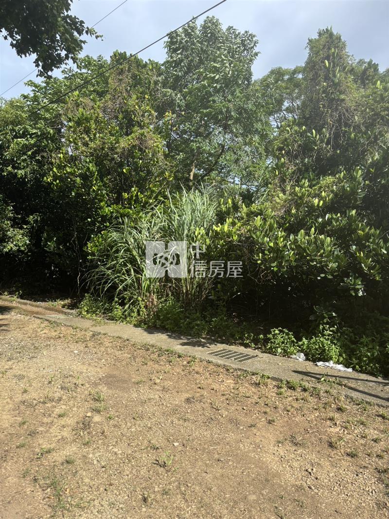 A20都計內方正農地房屋室內格局與周邊環境