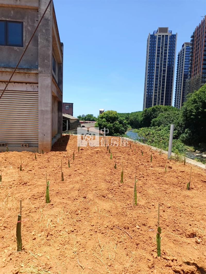 A19農地畜牧設施房屋室內格局與周邊環境