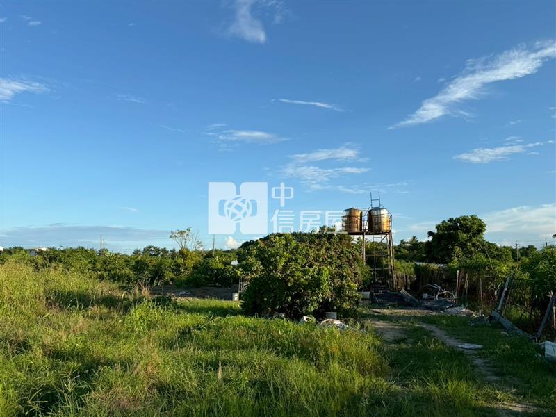 歸仁高發0.99分農地(二)房屋室內格局與周邊環境