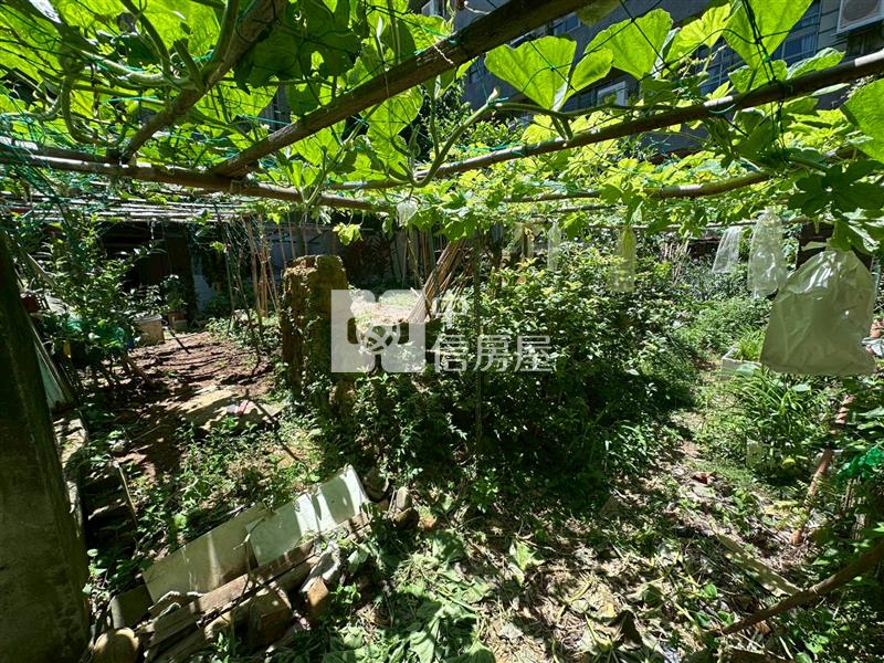 【安家】中壢國中旁稀有建地房屋室內格局與周邊環境