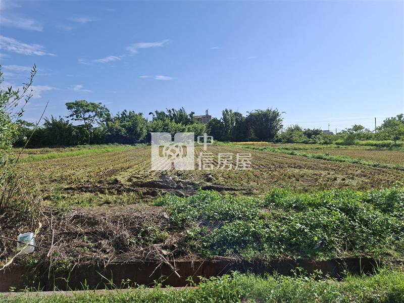 向陽農場大面寬農地房屋室內格局與周邊環境