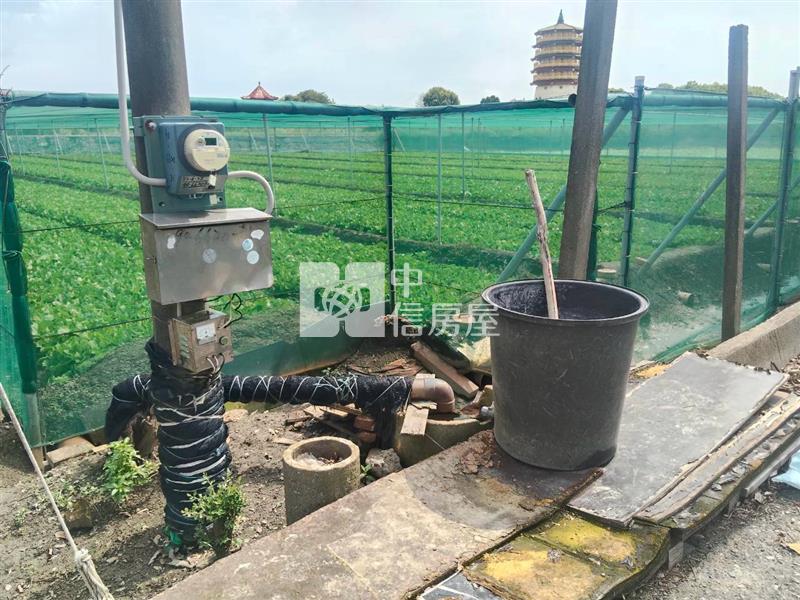 二崙庄邊田地房屋室內格局與周邊環境