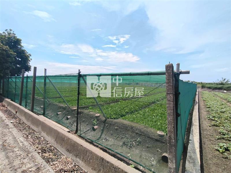 二崙庄邊田地房屋室內格局與周邊環境