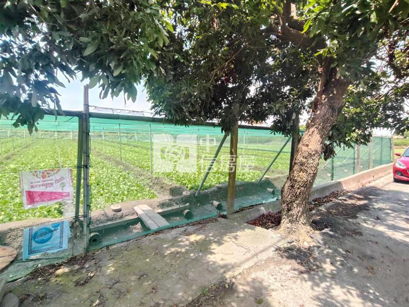 二崙庄邊田地房屋室內格局與周邊環境