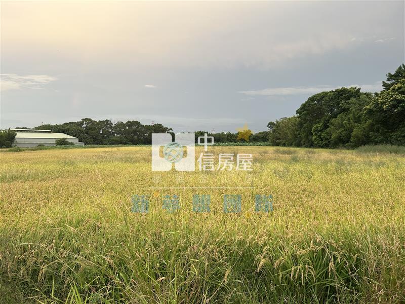 【新夢想】楊梅30米大面寬 方正農地 節稅置產首選