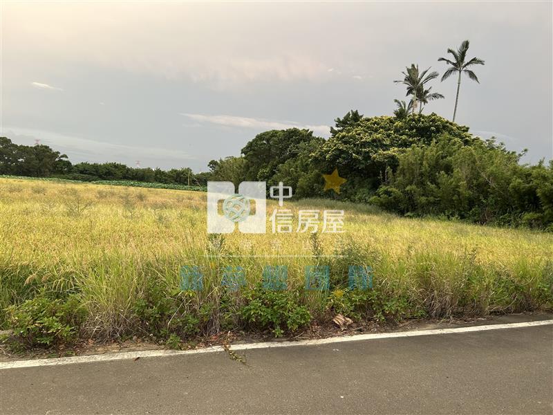 【新夢想】楊梅30米大面寬 方正農地 節稅置產首選房屋室內格局與周邊環境